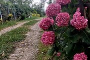اتاق دو خواب بام لیماک 1 در بومگردی رامسر