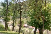 ویلا مبله دوخواب جنگلی فرشید در ماسال