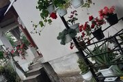 خانه ویلایی اردیبهشت در آستارا