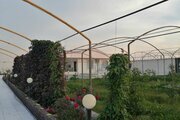 ویلا استخردار دوخواب باغ یاس در دزفول