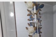 واحدمبله رضا طبقه چهارم (6) در ساری