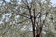 واحد دوخواب در طبقه همکف ویلا جنگلی دنج در کلاردشت