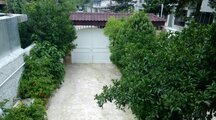 ویلا داریوش دوبلکس دو خواب در نوشهر