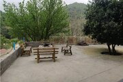 ویلای جنگلی انارستان مازندران رستمکلا