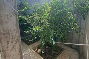 آپارتمان مبله دوخواب پل معلق در مشگین شهر