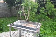 ویلا مبله تکخواب در محمود آباد