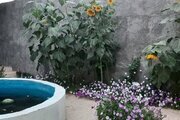خانه ویلایی دو خواب مبله در فریدن