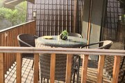 کلبه سوئیسی دوبلکس مبله تک خواب پدرسالار در آمل