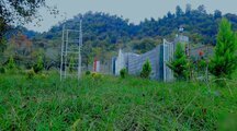 ویلا 2 خواب زیربام سبز شاندرمن