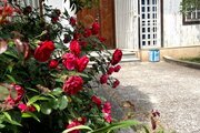 خانه ویلایی دو خواب مبله در متل قو