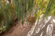 ویلا استخردار دو خواب مزرعه در اغلان تپه