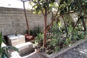 واحد تکخواب در طبقه همکف ویلای قائم شهر