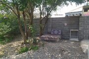 سوئیت نقلی همیشه بهار در رشت