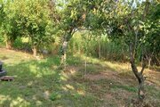 باغ ویلا دو خواب مبله در ماسال