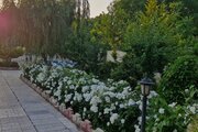 ویلااستخردار دوخواب چهار فصل در چهارباغ