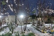 ویلا تکخواب جنگلی شمعدونی در گرگان