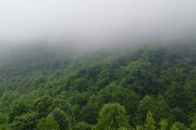 ویلای دوبلکس مبله دوخواب در علی آباد