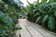 ویلا استخردار 5 خواب ای گل در دزفول