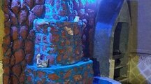 خانه باغ نوساز در کاشان