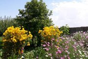 واحد مبله تکخواب در باغ ویلای خلخال
