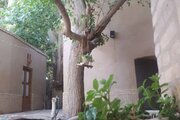 اتاق 4 در اقامتگاه بومگردی مهریز