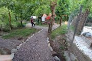 کلبه دو خواب دامون در ماسال