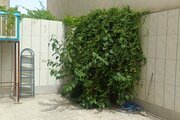آپارتمان مبله تکخواب کیان در اصفهان