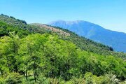 واحد مبله دوخواب طبقه اول ویلا جنگلی در سوادکوه