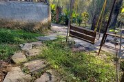 کلبه جنگلی تکخواب افرا در سوادکوه