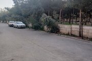 آپارتمان مبله دوخواب در کاشان
