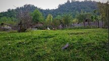خانه ویلایی یک خوابه در روستای سیاهمرد
