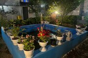 واحد دو خواب طبقه اول سهیل در لاهیجان