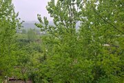کلبه سوئیسی دوبلکس جکوزی دار ماه تو در شیرگاه
