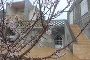 خانه ویلایی دو خواب مبله در فریدن