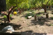 باغ ویلا تکخواب رویایی در دماوند