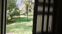 ویلا دوخواب جنگلی در ماسال
