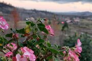 ویلا سنتی دو طبقه محرمان در شفت