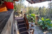 کلبه جنگلی تکخواب افرا در سوادکوه