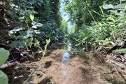 آپارتمان مبله تک خواب آرش در کوچصفهان