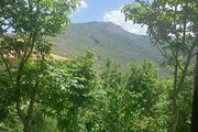 واحد مبله دوخواب فیلبند در طبقه دوم ویلای آمل
