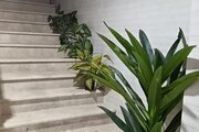 آپارتمان مبله تکخواب مادر در درگهان