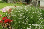خانه ویلایی اردیبهشت در آستارا