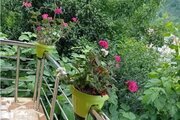 واحد تکخواب در طبقه دوم ویلای ماسال