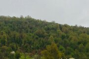 کلبه سوئیسی دوخواب جکوزی دار در ماسال