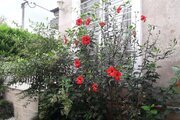ویلا دوخواب مبله سام در چالوس