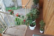 کلبه چوبی جنگلی تکخواب در ماسال