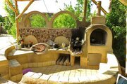 واحد تکخواب گردو در بومگردی برزک