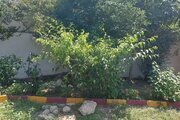 ویلا مبله دو خواب بنفشه در نوشهر