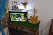 ویلا تکخواب در لاهیجان