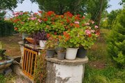 باغ ویلا تکخواب مبله در سیاهکل